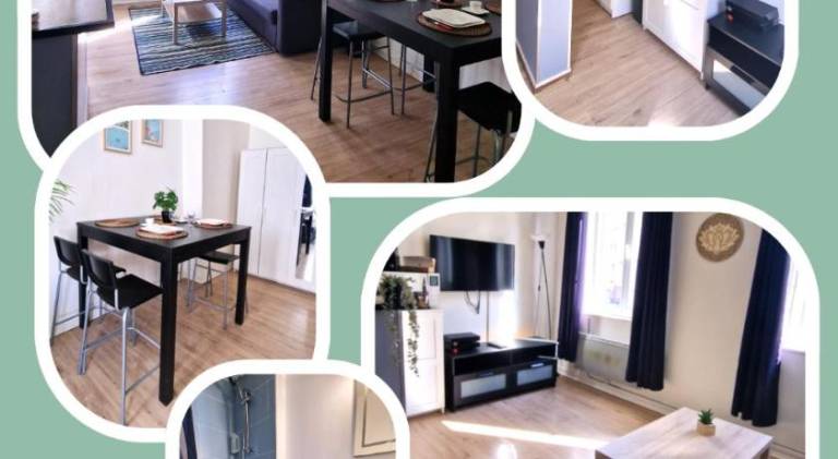 Apartment | Pets are welcome in Rouen