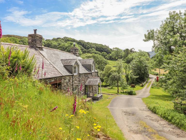 Cottage  Dolgellau