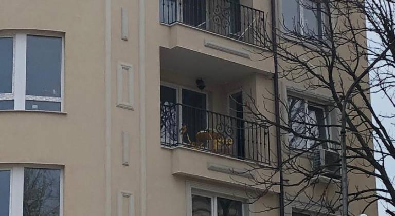 foto26