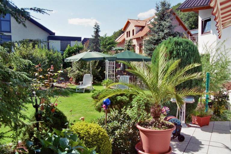foto8