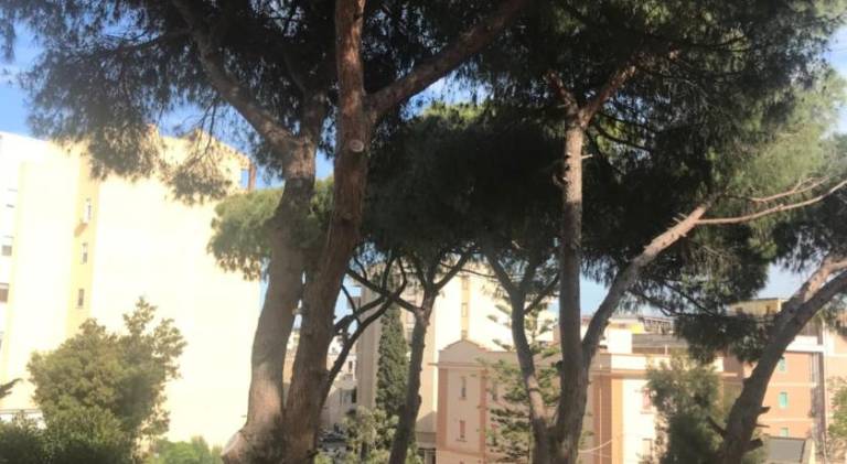Pension Brindisi