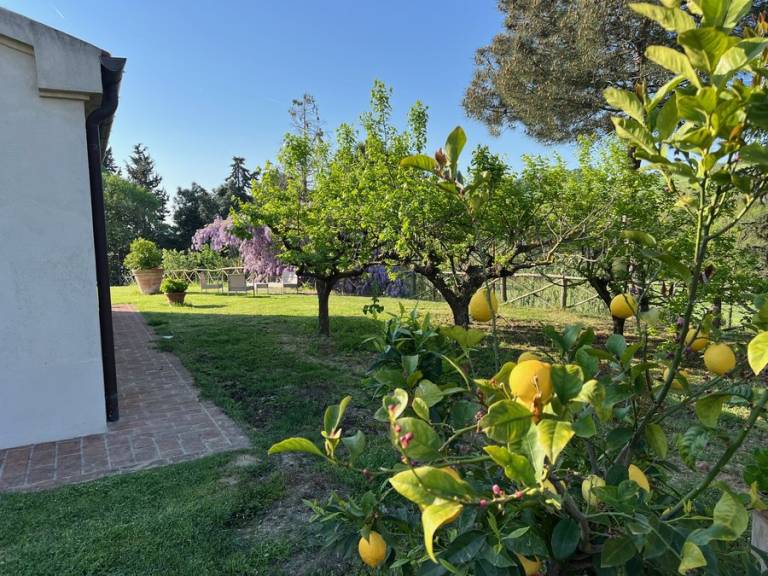 foto40