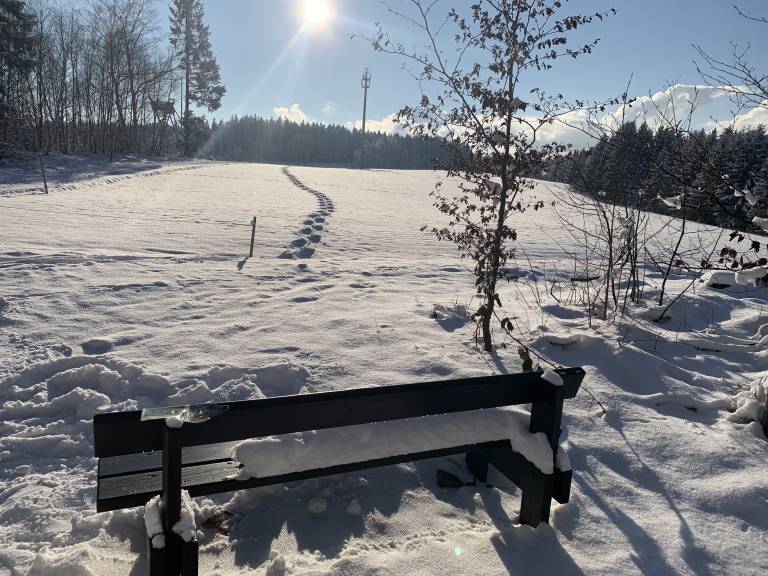 foto48