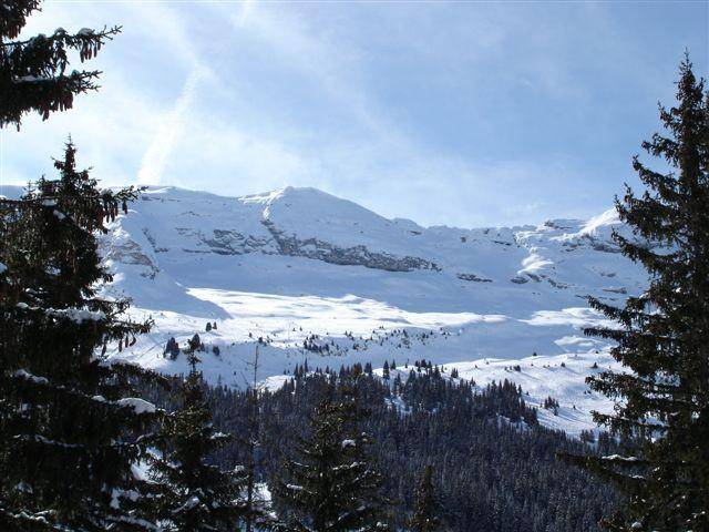 foto15