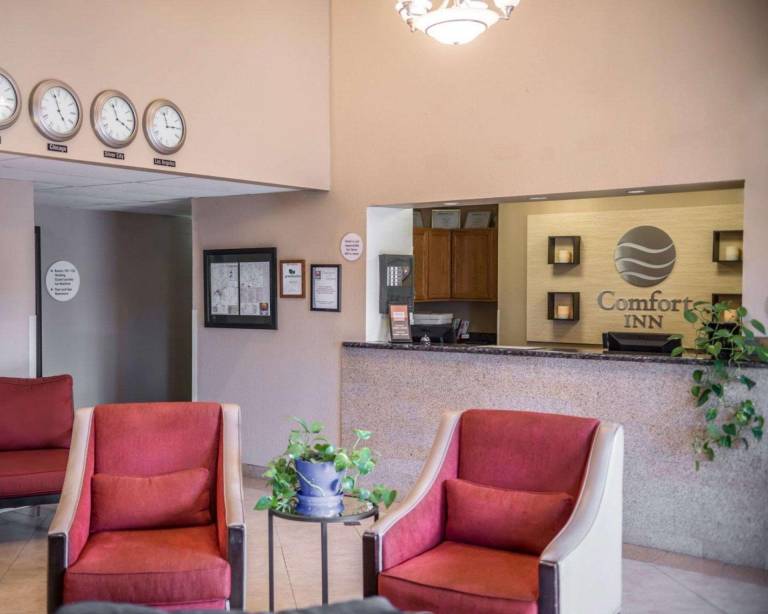 Comfort Inn Near Gila National Forest — photo 4