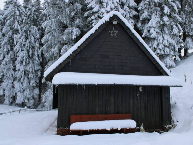 Ferienhaus mit Hund in Titisee-Neustadt f&uuml;r max. 4 Personen