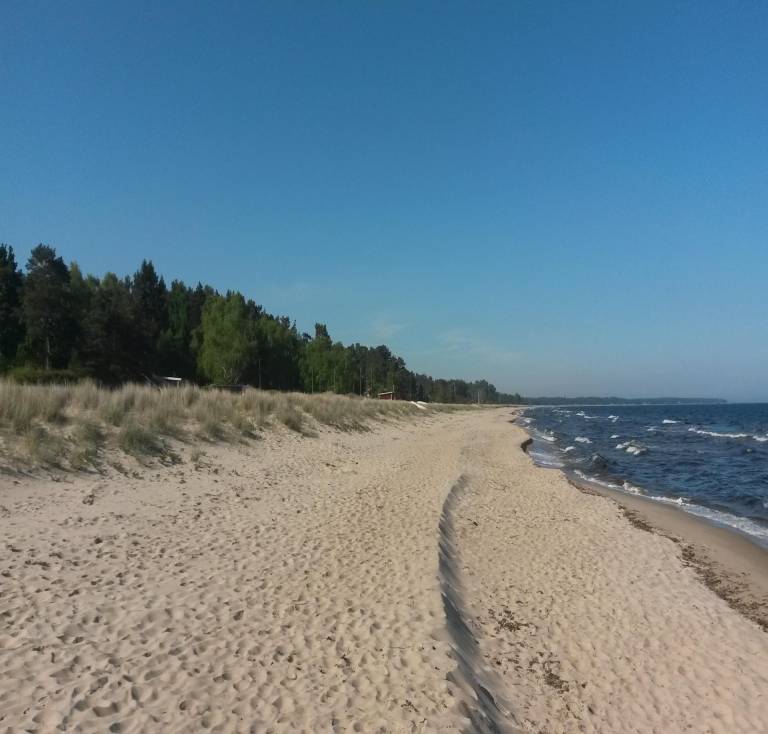 foto25