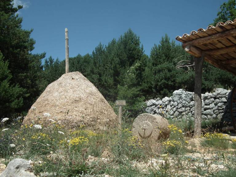 foto45