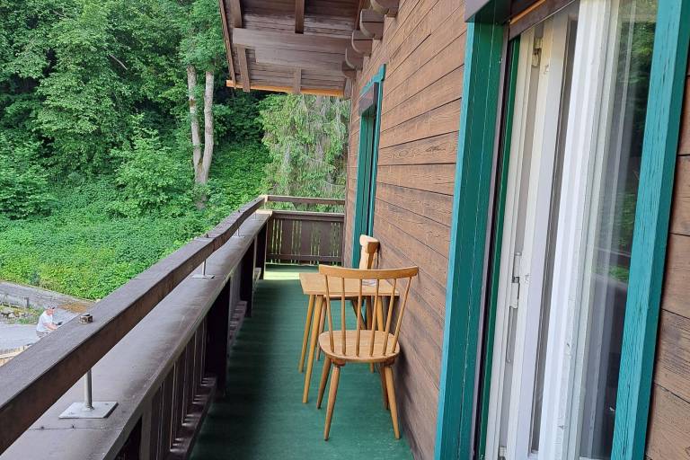 Vacation home with pool & patio | Next to the ski | Pets allowed — photo 5