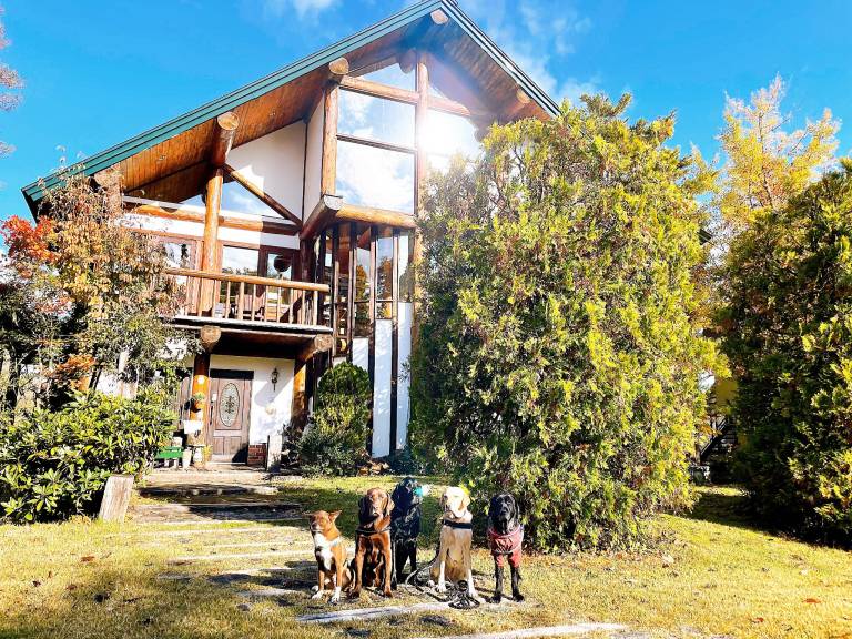 Hakuba Log Hotel Meteor in Hakuba