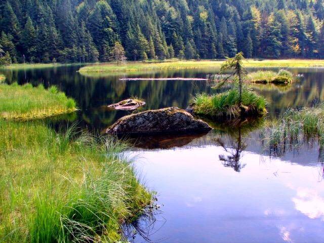foto17