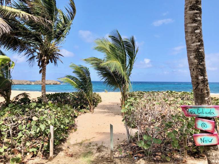 Condo  Manatí