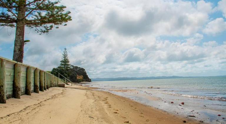 Stunning beachfront bach! in Auckland
