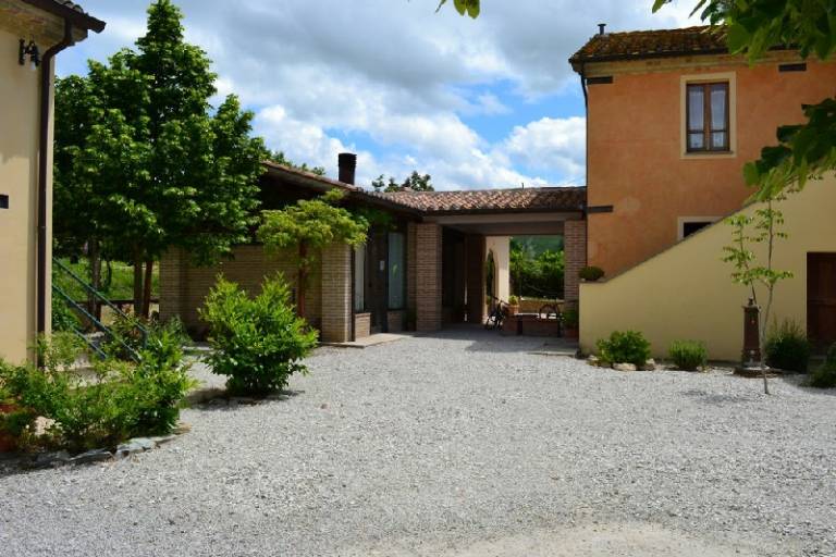 Collina dei Fagiani: Appartamento L'uliveto — photo 5