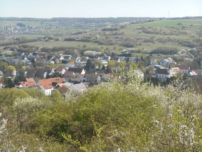 foto16