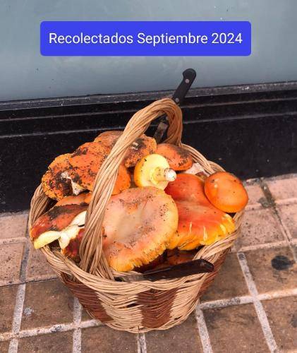 foto18