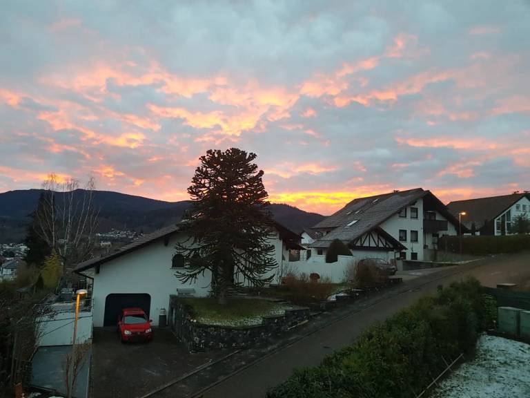 foto19