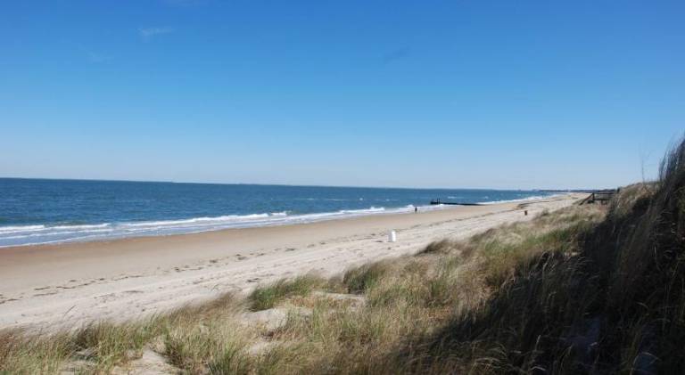 House | Perfect for remote work | Pets are welcome in Virginia Beach, VA