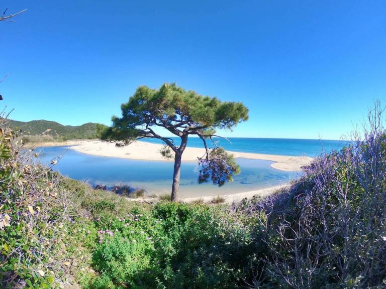 Camping Pinarellu