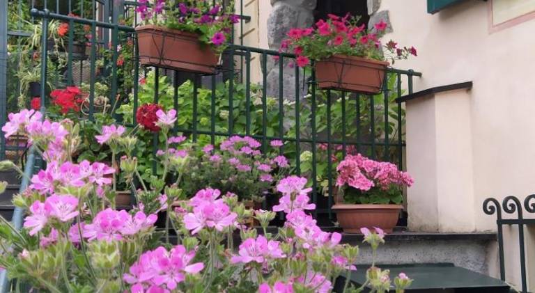 Nice apartment | Pets are welcome in Chiavari