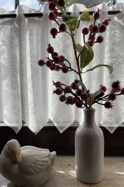 foto8