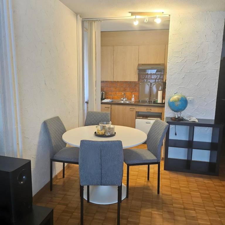 City Center Apt-5 mins walk to Zuich Train Station — photo 5