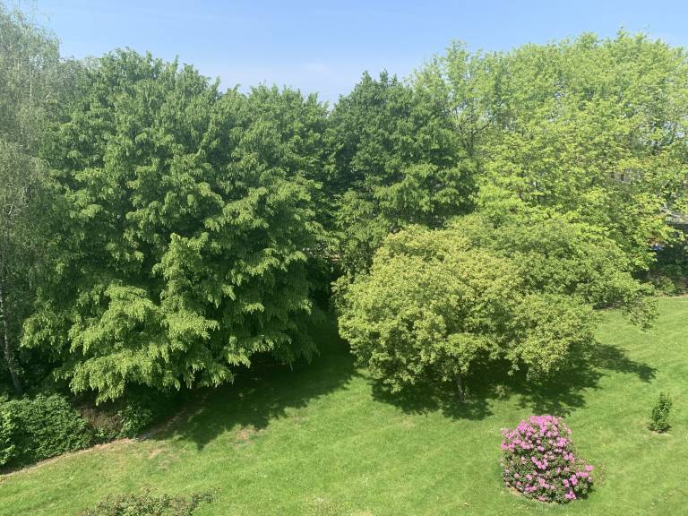 foto1