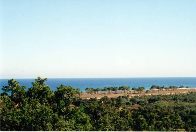 Maison de vacances Pinarellu