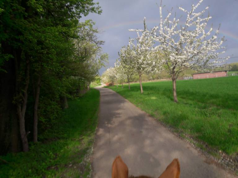 foto16