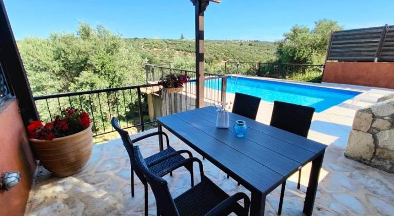 Villa with pool — photo 4