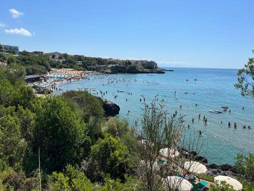Appartamento con servizi da hotel Marina di Camerota
