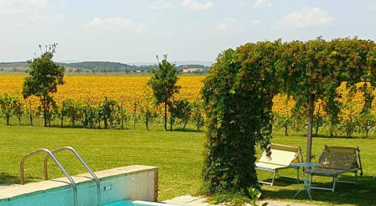 Cortona Resort-Le Terre Dei Cavalieri — photo 3