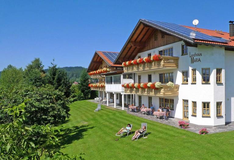 foto2