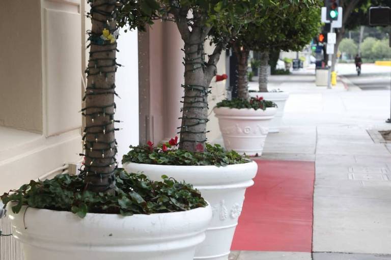 Hotel Carmel