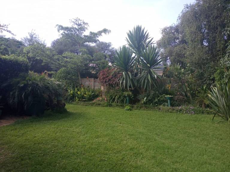 foto11