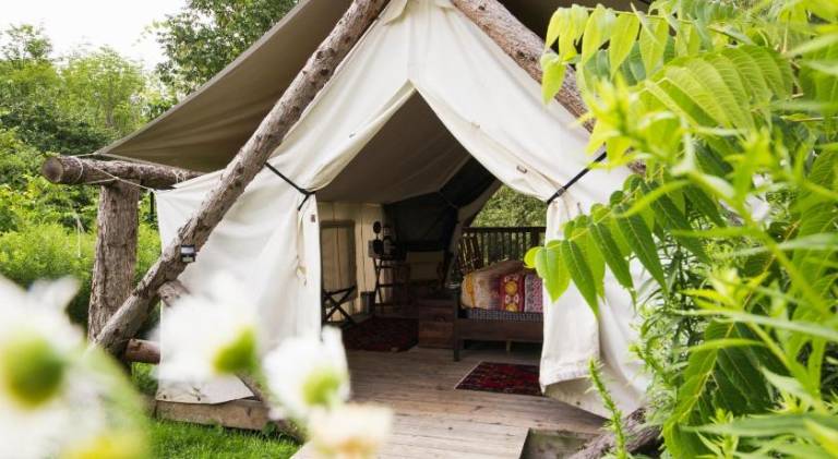 Firelight Camps in Ithaca, NY