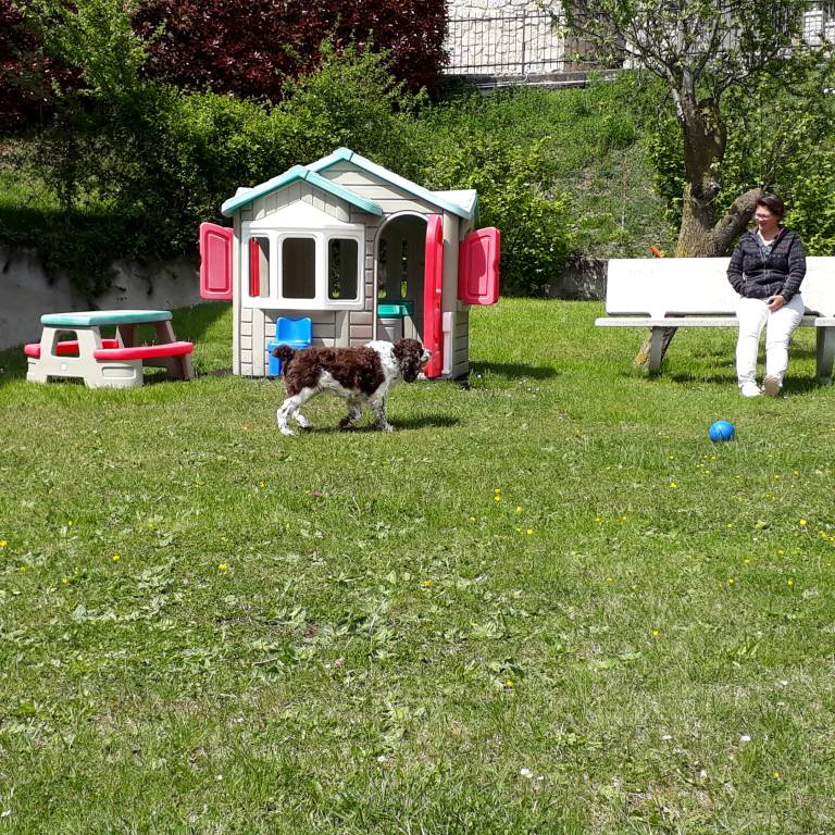 foto14
