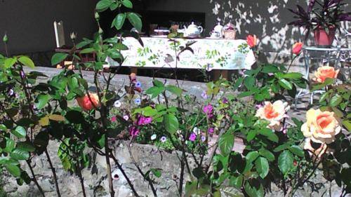 foto12