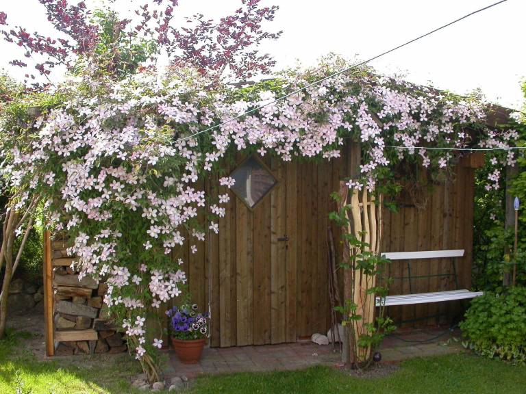 foto27
