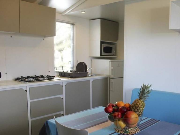 Mobile home with terrace — photo 4