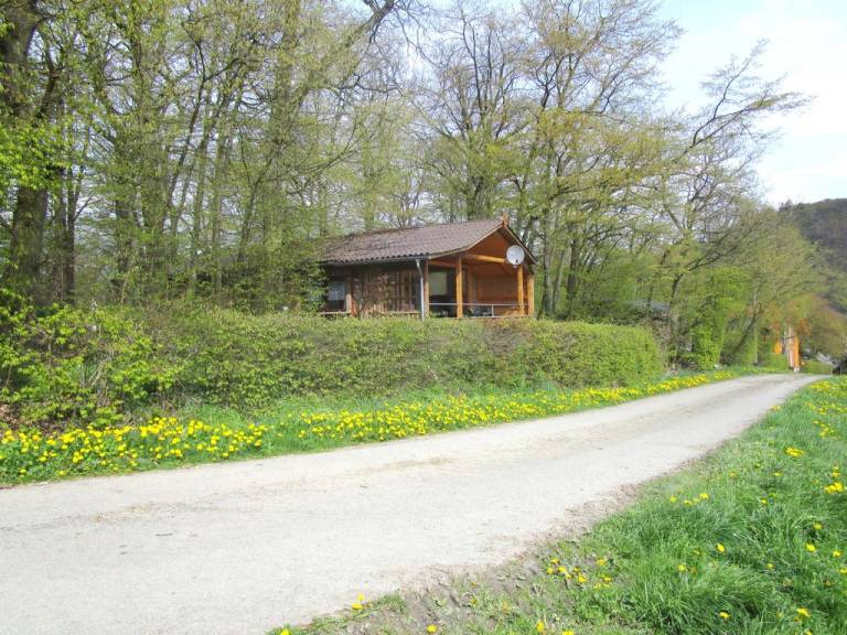 foto1