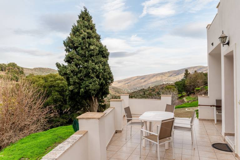 House with barbecue, garden & patio | Garden view in Andros