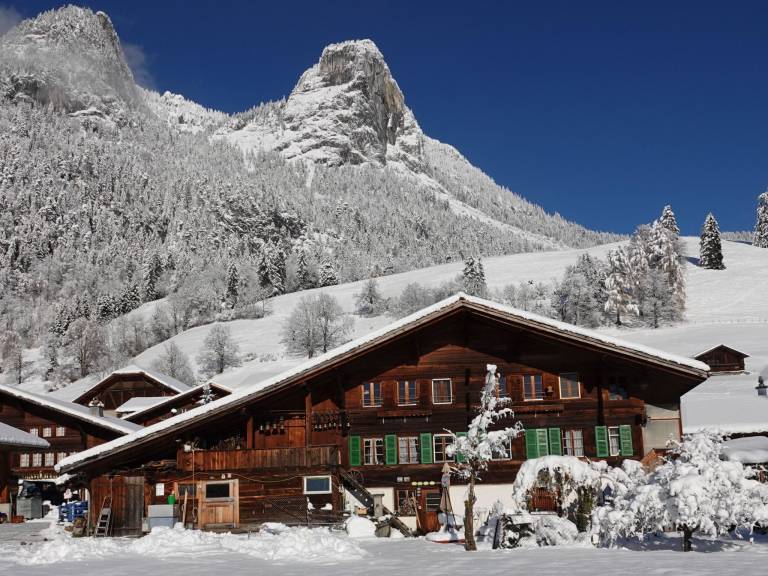 Ferienwohnung Boltigen