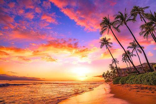 Apartment  Lahaina