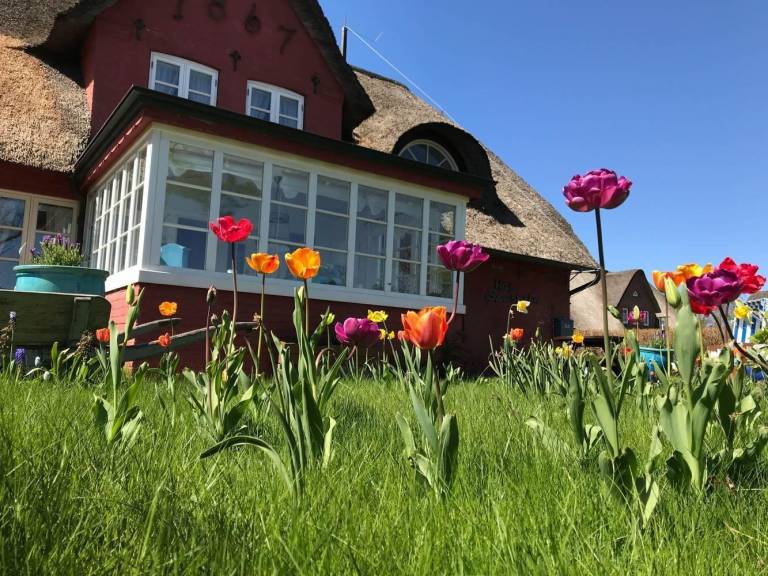 Ferienwohnung Süddorf