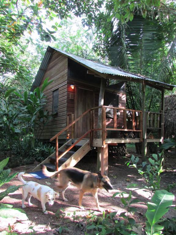 Parrot Nest Lodge — photo 2
