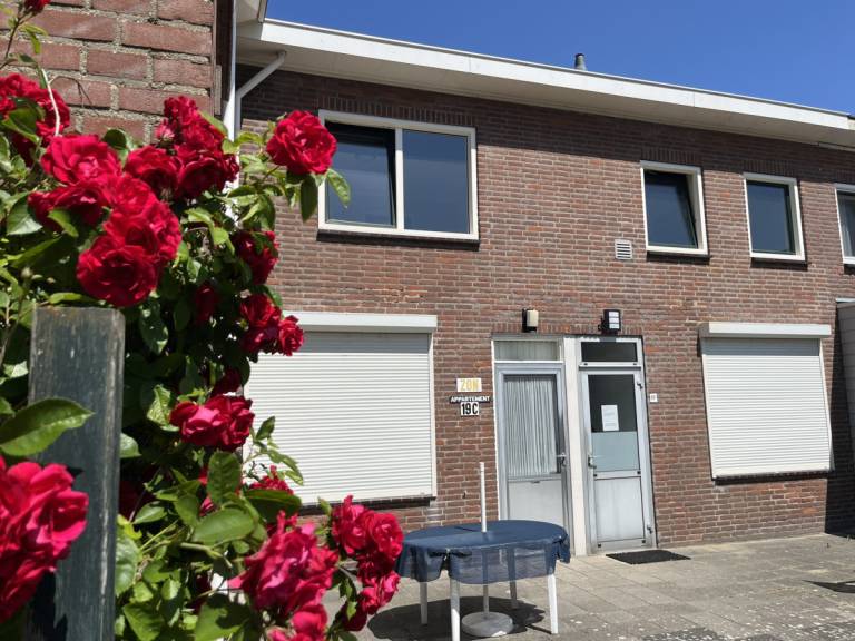 Ferienhaus Zoutelande