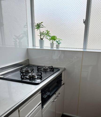 foto14