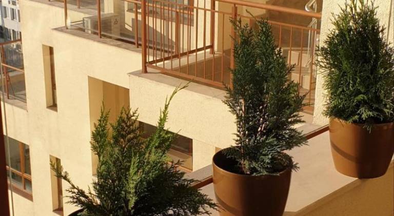 Holiday apartment with 1 room for 3 persons — photo 3