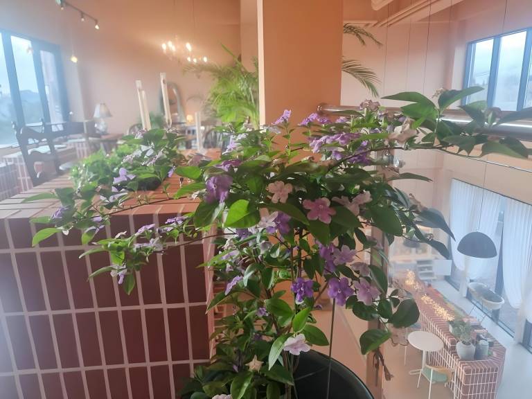 foto36